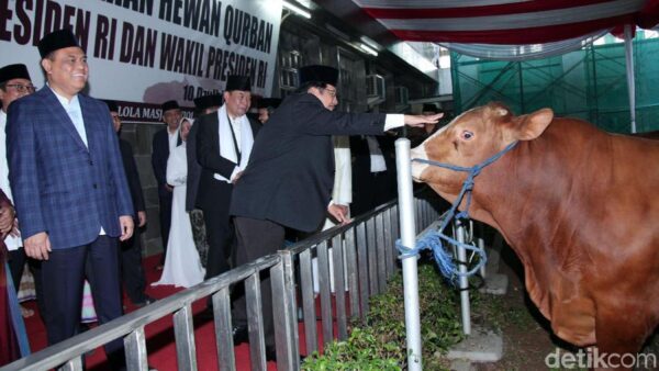 Hindari Kerumunan Warga, Masjid Istiqlal Distribusikan Daging Hewan Kurban Melalui Yayasan: Solusi Humanis dan Efisien di Tengah Kota Metropolitan